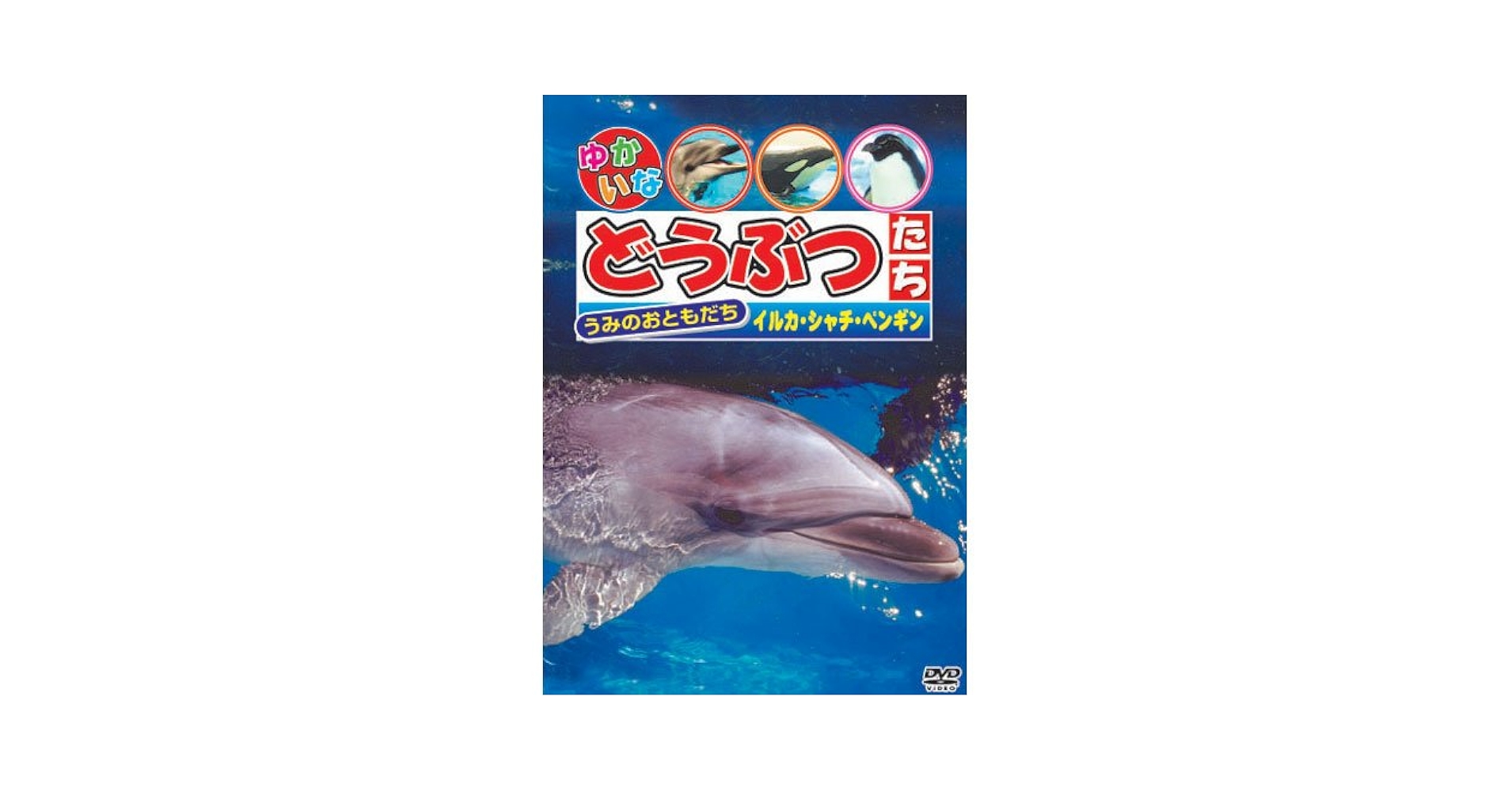 Amazon.co.jp: うみのおともだち 「イルカ・シャチ・ペンギン